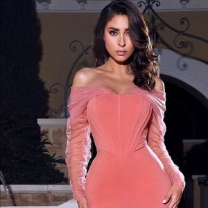 Zofia Salmon Pink Off Shoulder Mesh Sleeve Corset Dress